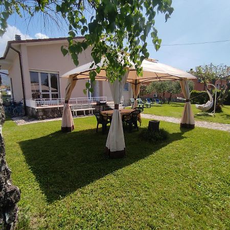 Bed and Breakfast La Mimosa Chic Pietrasanta Esterno foto