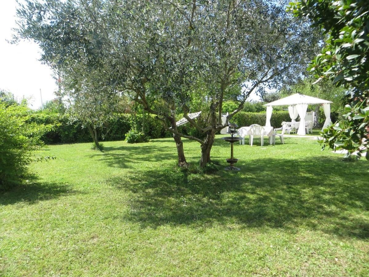 Bed and Breakfast La Mimosa Chic Pietrasanta Esterno foto